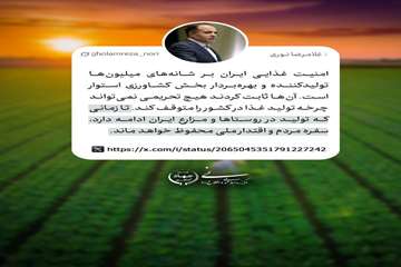 نوری وزیر